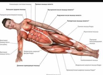 Оздоровительная процедура