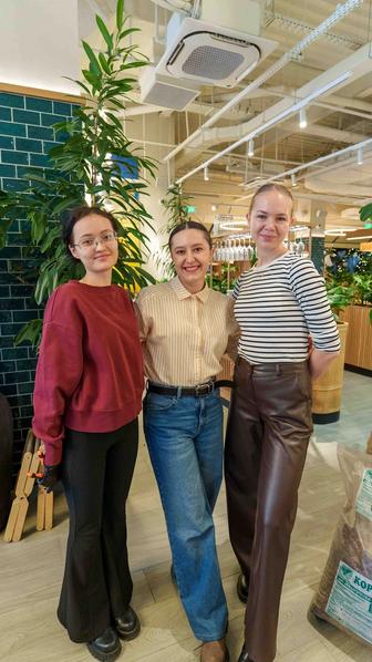 Профессиональный уход за комнатными растениями для компаний