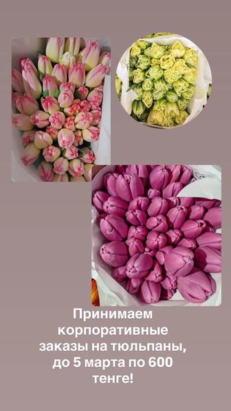 Тюльпаны оптом и в розницу