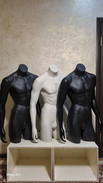 Манекены мужские торсы