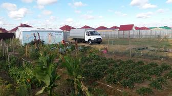 Газель. Услуги. Город, область. Так же работаю по договору.