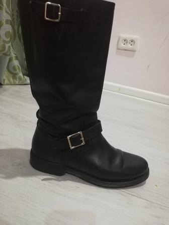 Сапоги женские