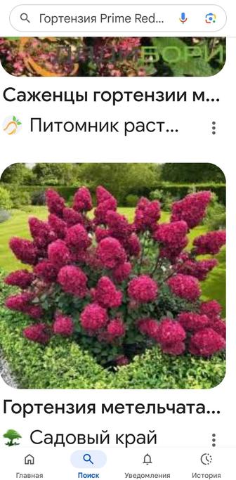 продажа цветов