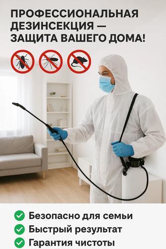 Дезинфекция 200% уничтожим избавим тараканы клопы блохи муравьи крысы мыши