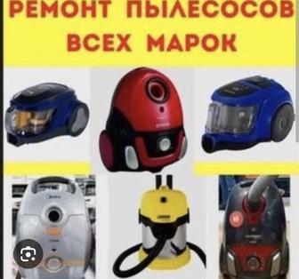 Ремонт пылесосов моющих бытовых