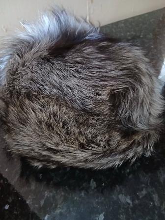 Продам женскую шапку из чернобурой лисы б/у в отличном состоянии