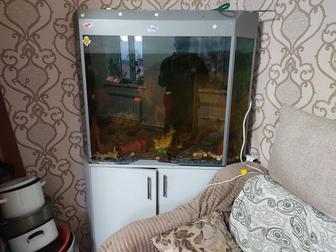 Продам аквариум
