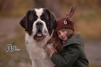 Ретушь фотографий