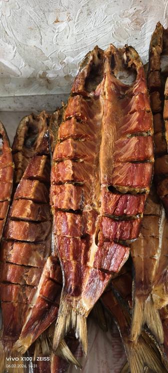 Кепкен балықтар бар.қақталған кефаль,рыбец,вобла