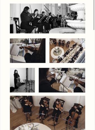 Музыкальное сопровождение дуэт, трио, струнный квартет