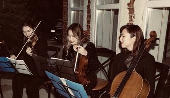 Музыкальное сопровождение дуэт, трио, струнный квартет