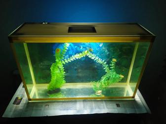 Аквариум 59л. Бонусы и рыбки.