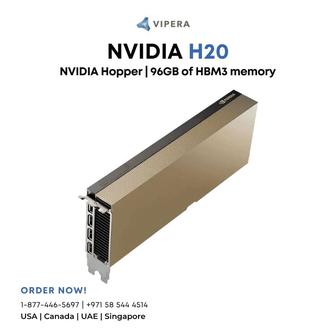 HGX H20 96GB