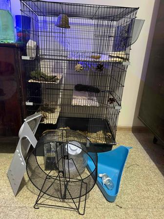 Клетка для шиншилл (набор) б/у