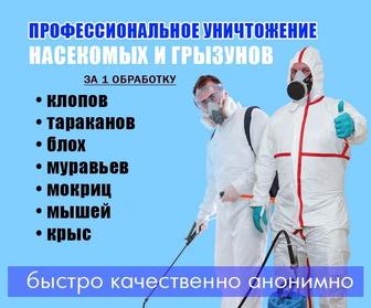 Уничтожение тараканов клопов блох с гарантией