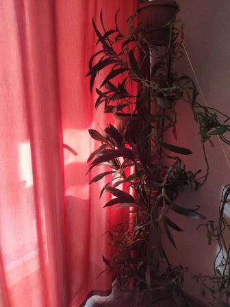 Подставка для цветов
