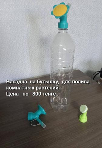 Растения