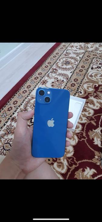 iPhone 13