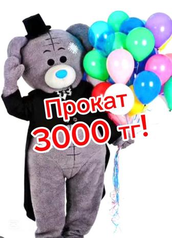 Прокат костюмов мишки Тедди