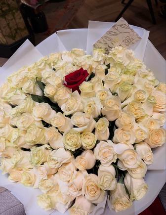 Продам цветы