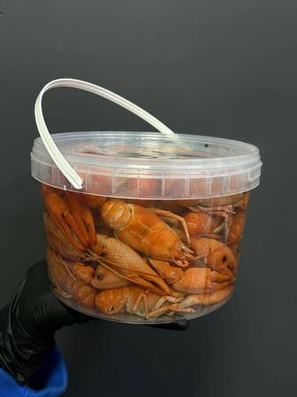 Морские Сеты Атырау Принимаем заказы