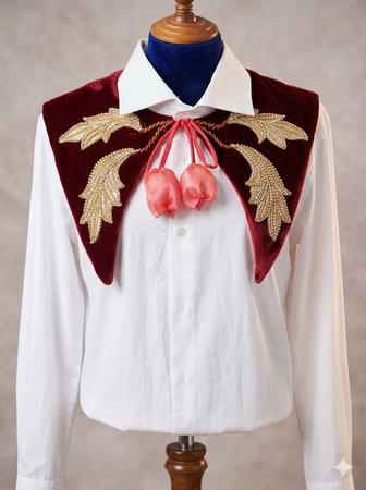 Жаға воротник