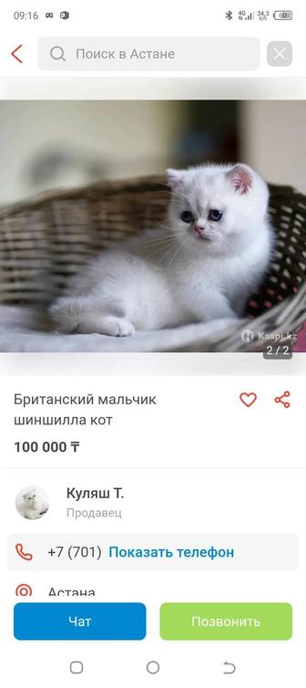 Куплю котёнка