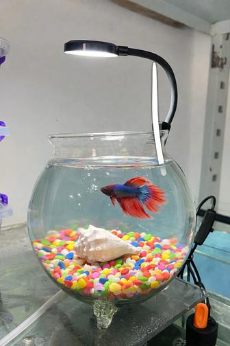 Аквариум круглый комплект. Новый