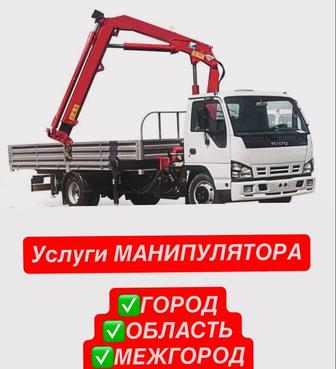 Манипулятор, Манипулятора