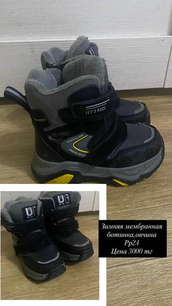 Зимняя бортника