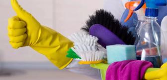 Домработница