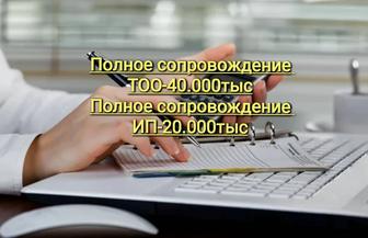 Сопровождение ТОО ИП
