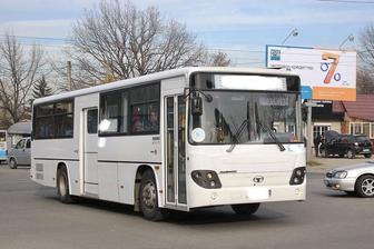 Автобус Daewoo аренда