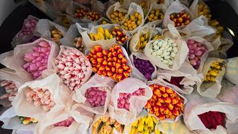 Тюльпаны оптом и в розницу