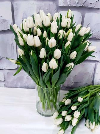 Тюльпаны оптом и в розницу