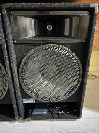 Музыкальные колонки и микрофон