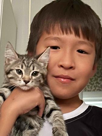 котенок 2 месяца