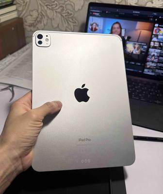 iPad Pro 11 M4 2024