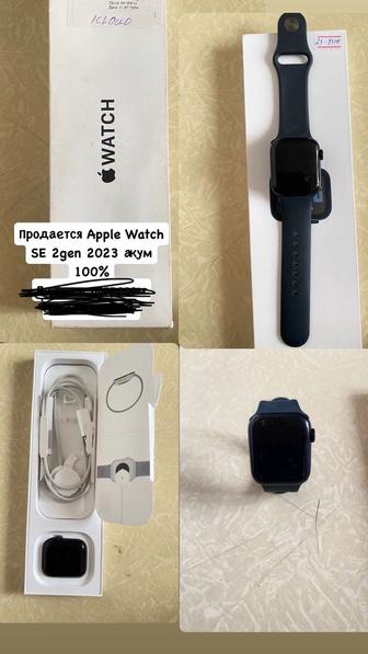 Apple watch