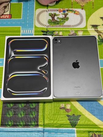 iPad Pro 11 256Gb M4 2024