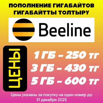 Пополнение гигабайтов Билайн