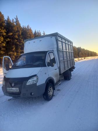 Грузоперевозки переезды авто газель.услуги скатавоза крс мрс лошадей.