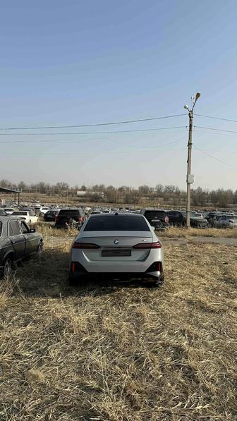 Трезвый водитель