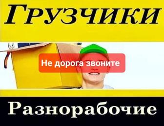 Услуги Грузчиков Разнорабочих не дорого звоните