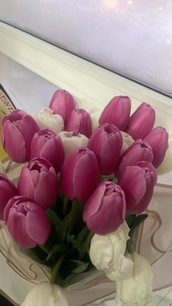 Продам букет тюльпанов