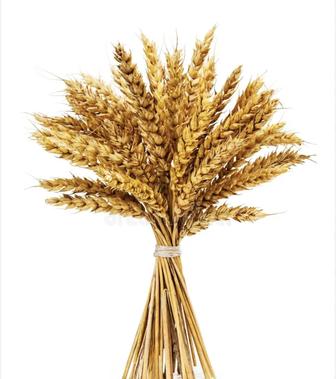 Курсы по логистики