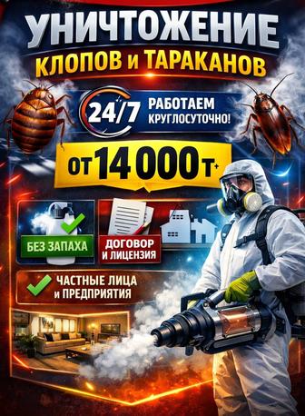 Уничтожение клопов, тараканов.