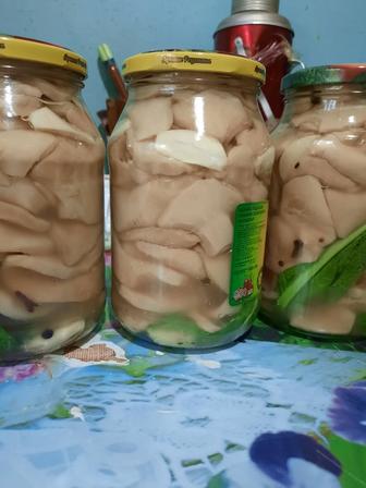 Продам грибы