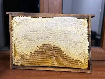 Продам мед (соты) в рамках