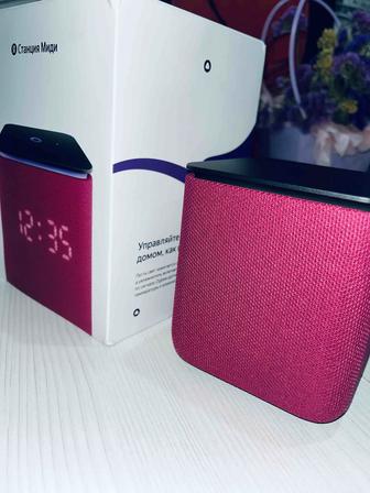 Колонка, Станция Алиса Миди